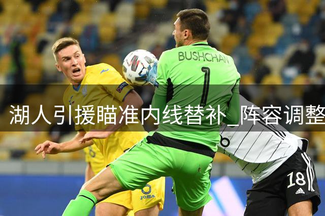 湖人引援瞄准内线替补 阵容调整迫在眉睫